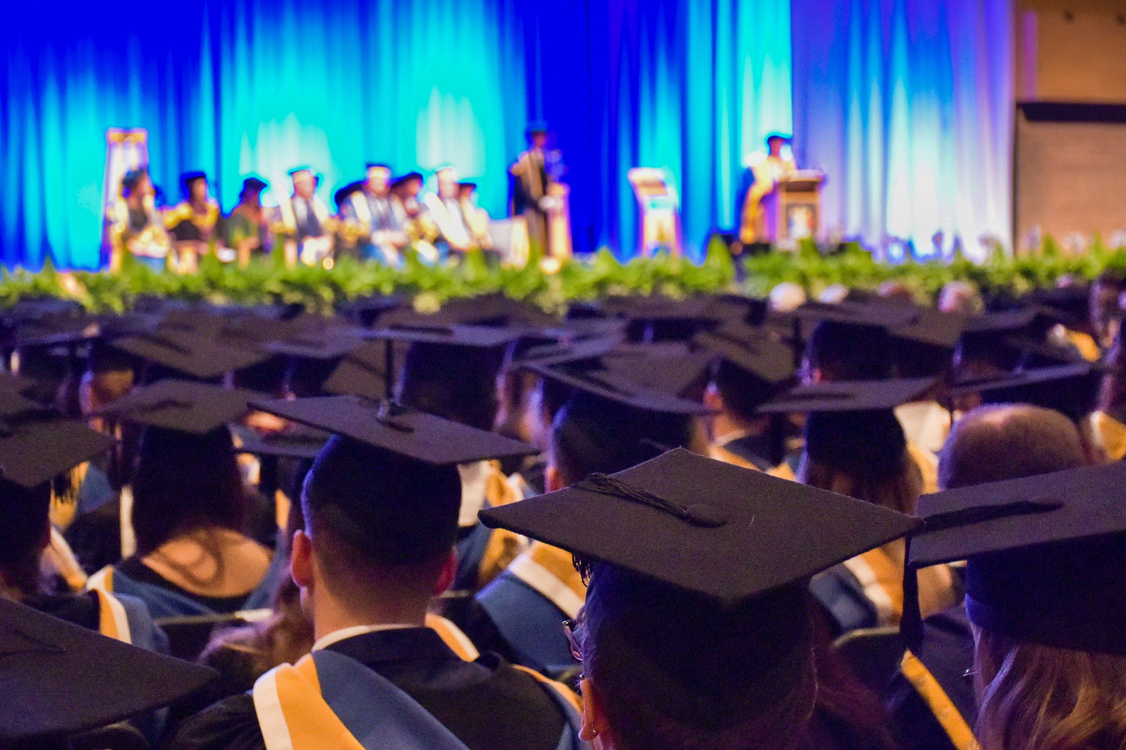 Graduation Faqs Bournemouth University