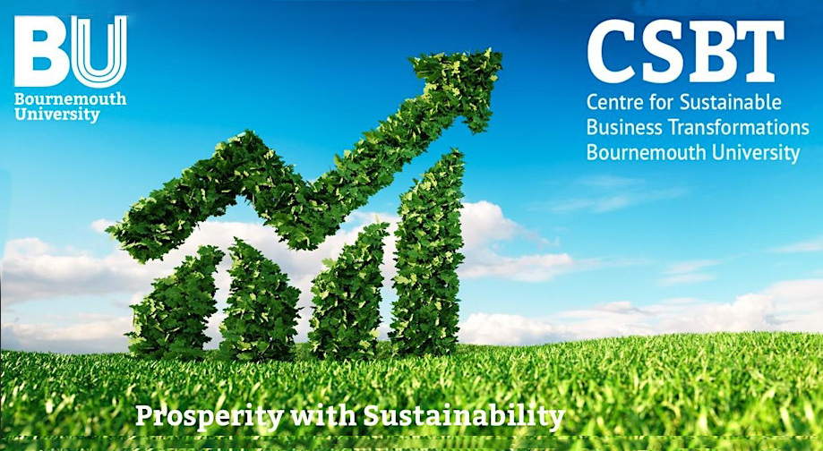 Centre sustainable business transformations logo