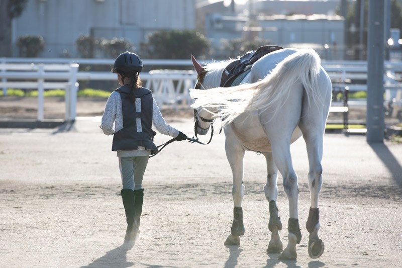 a child walking alongside a horse, holding a rein. 