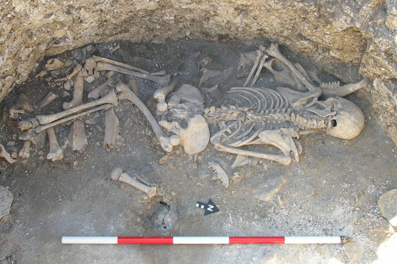 Image of a near complete human skeleton lying at the bottom of a pit, surrounded by several animal bones