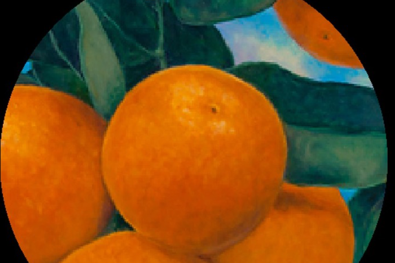 A painting of four oranges close together with green leaves and blue sky in the background